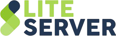 LiteServer B.V. logo