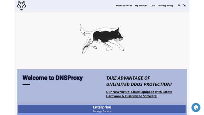 DNSProxy screenshot