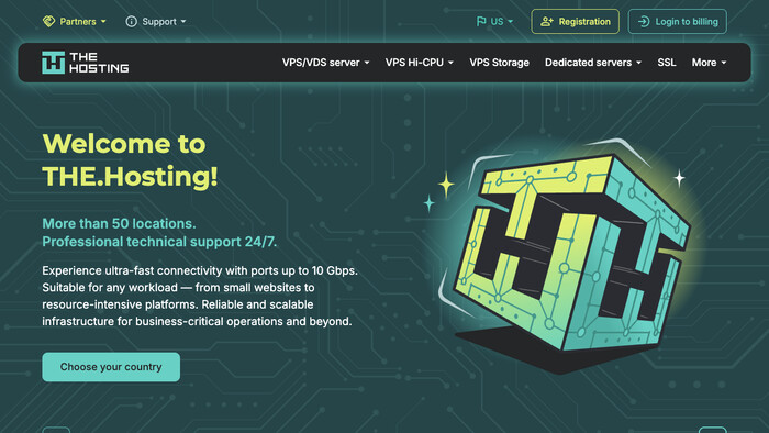 THE.Hosting screenshot